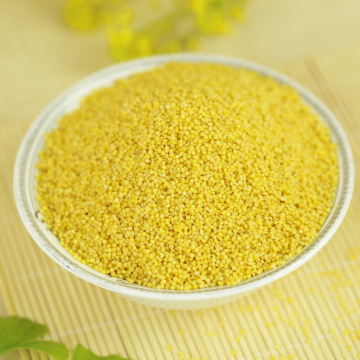 Nature Wholesale cheap price Yellow Hulled Millet