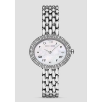 Reloj de cuarzo para mujer de acero inoxidable plateado pequeño de 30mm con bisel de cristal esfera de nácar Natural Número romano muñeca de vestir delgada