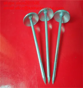 Galvanized Umbrella Head Roofing Nails in Fasteners