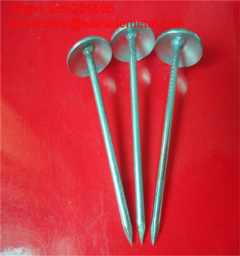 Galvanized Umbrella Head Roofing Nails in Fasteners