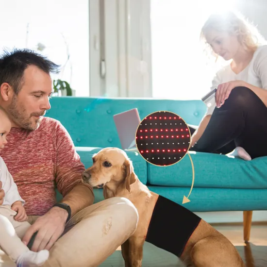 Newest Red Light Therapy Wrap Belt