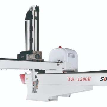 SINTD TS-1200 Two Five-Axis Full Servo Traverse Arm Robot