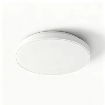 Even illumination ceiling light