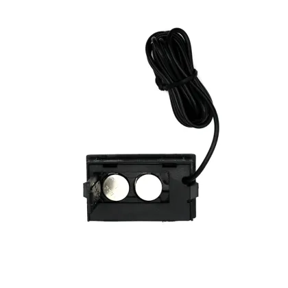 Ant Workshop: Ant Nest Accessories & Crawling Pet Supplies