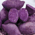 Poudre de patate douce violette pour complément