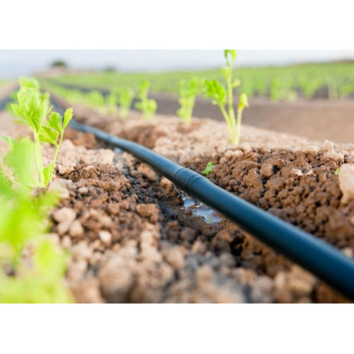 Sistema de irrigação por aspersão com efeito de estufa para rega