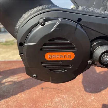 fat tire electric bike 1000w mid drive