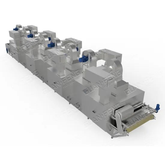 Multi-Layer Mesh Belt Dryer for Food Processing: Drying Red Chilli and Vegetables