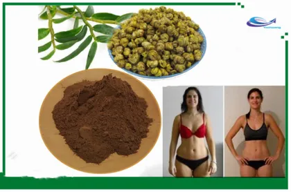 Dendrobium Extract Herba Dendrobium Polysaccharides Powder