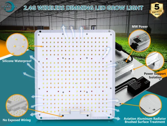 Best 450W LED Grow Light Indoor Plants Horticulture