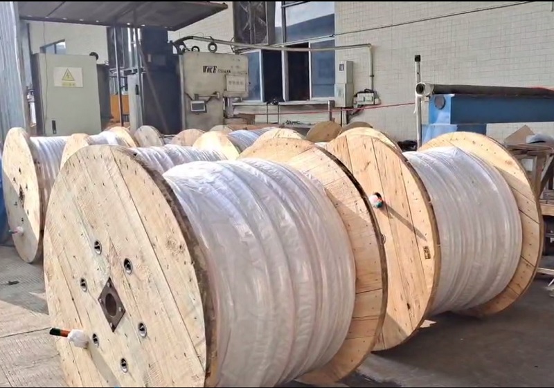 orange circulars
