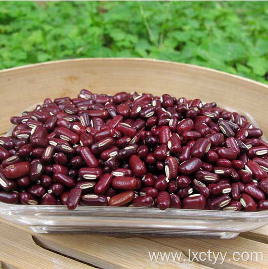 Rice Porridge with Adzuki Beans