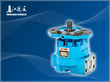 G20 Series Gesr Pumps