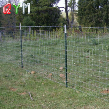 Clôture de bétail sur la clôture de ferme de la ferme des chevaux de ferme