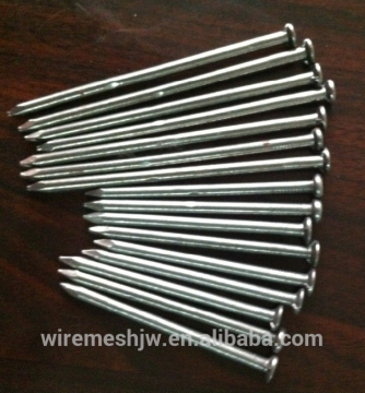 Flat Round Head Common Nails Concrete Steel Nails With Good Quality