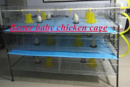 Baby chicken house/cage