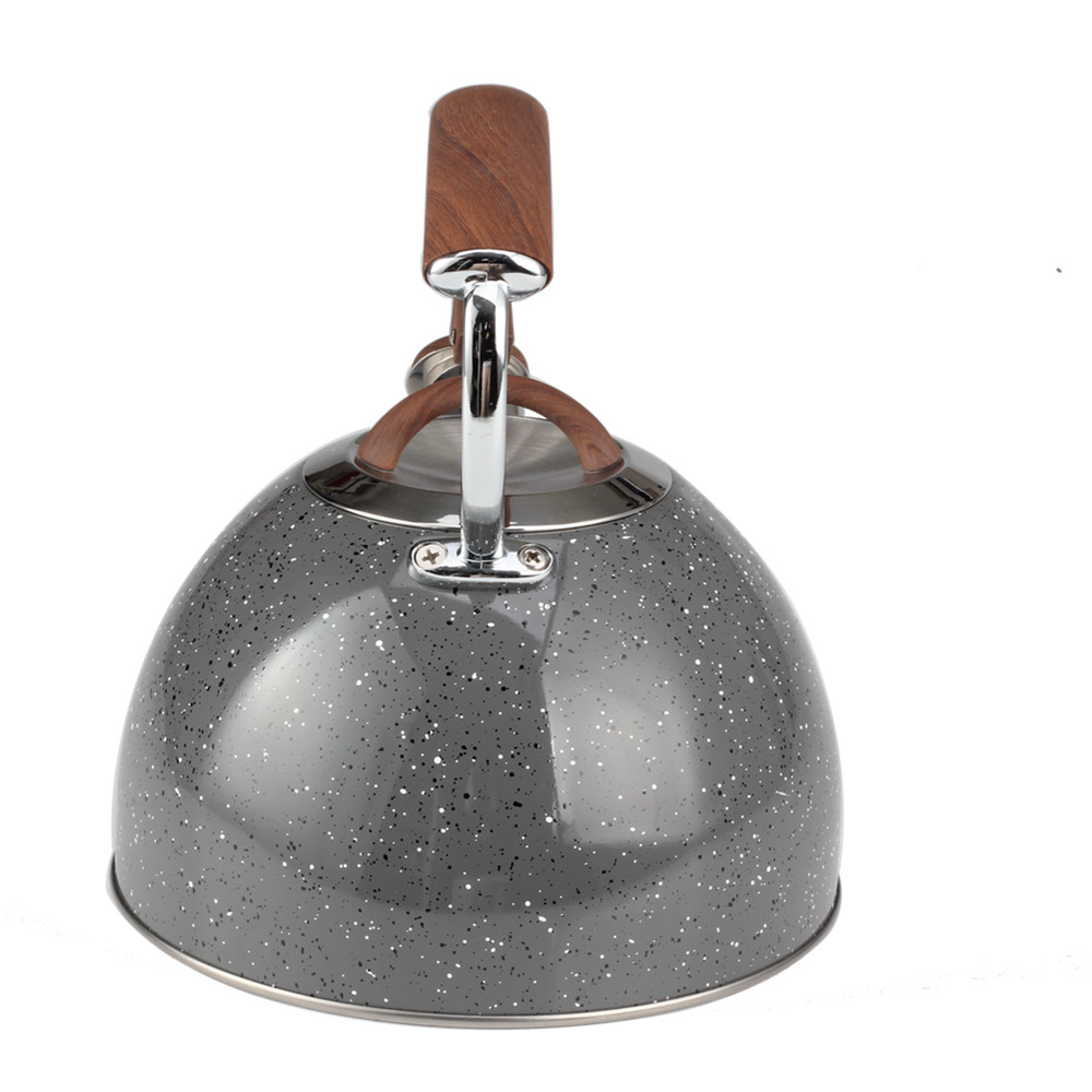 Whistling Kettle With Wide Handle Design