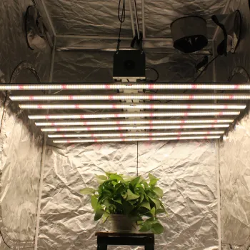 800W Commercial LED Grow Light for Vertical Farming and Greenhouses: Full Spectrum 600W Light for 6FT Areas