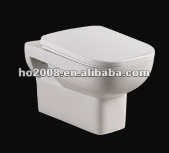 Washdown Wall hung single piece Toilet
