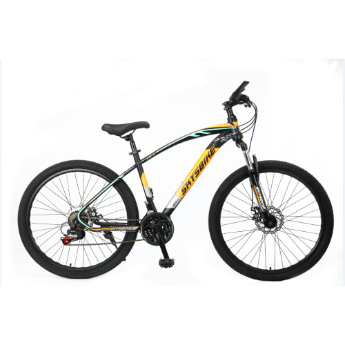 Popular 21 Speed Disc Brake Adult MTB Bicycle