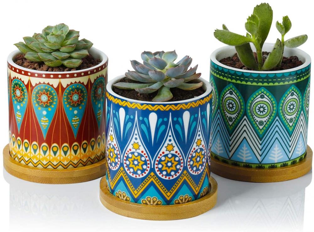Piccole piante di piantatrici in ceramica