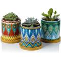 Small Ceramic Planters Plants