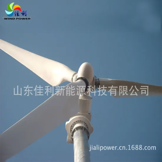 30KW High Quality HAWT Wind Turbine Approved By ISO,CE,BV&Gold Supplier