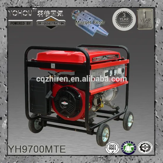 Ac Single Three Phase 127v 220v 6.5Kw Lpg Generator For Banking Back-Up Power