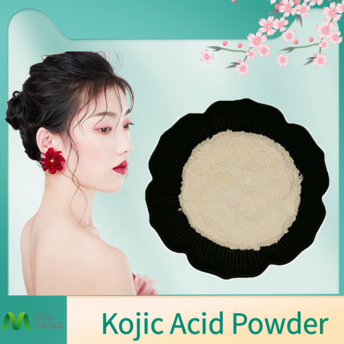 Alpha Arbutin Powder Pure Skin Whitening Kojic Acid Powder Manufactory