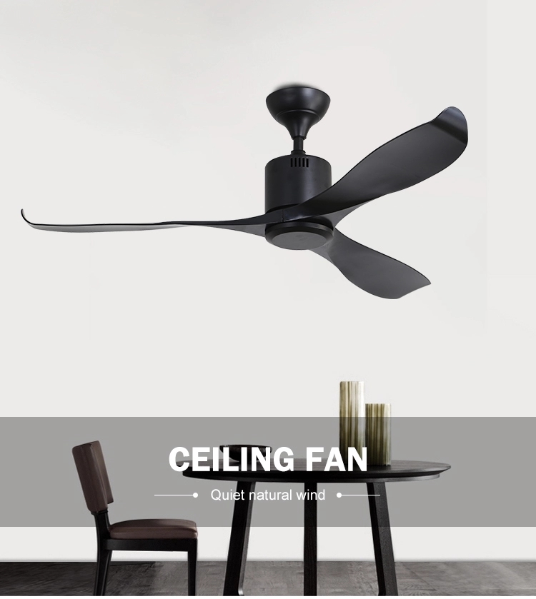 Contemporary ceiling fan