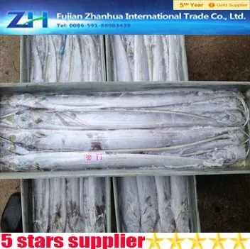 New Arrival frozen fresh ribbon fish hairtail fish on sale