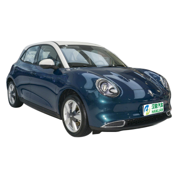 2022 Oula Haomao: 480km New Energy Electric Mini EV Car - Used Cars for Sale