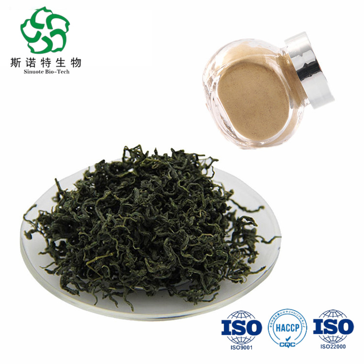 Water Soluble Gynostemma Extract 80% Gypenosides