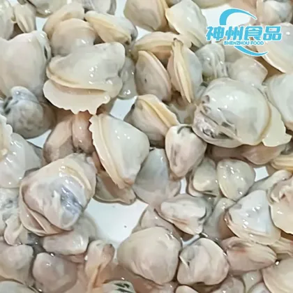 Elite Frozen Clam Meat Aquatic Treasure