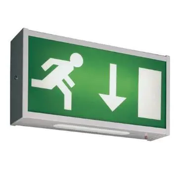 4W Maintained Exit Sign Box c/w Arrow Down Legend