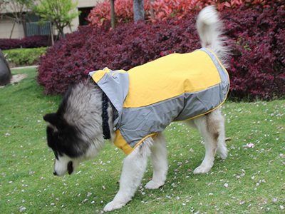 Waterproof Pet Coat