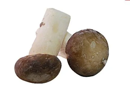 New Harvest Delicious Fresh Frozen Foods / Iqf Frozen Mushroom