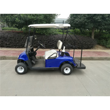 hot sale 2 seater small golf car