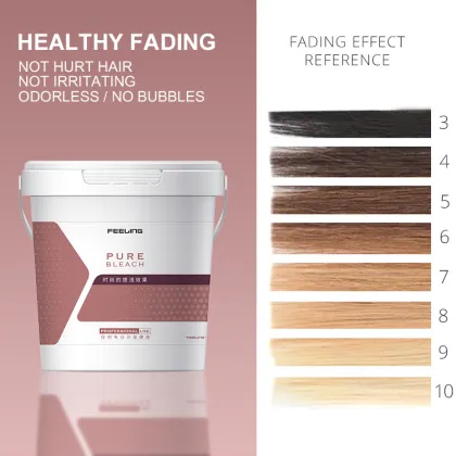 Professional Gray Hair Dye and Bleaching Powder for Salons