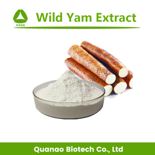 Hot Sales Wild Yam Extract Diosgenin 20% poeder