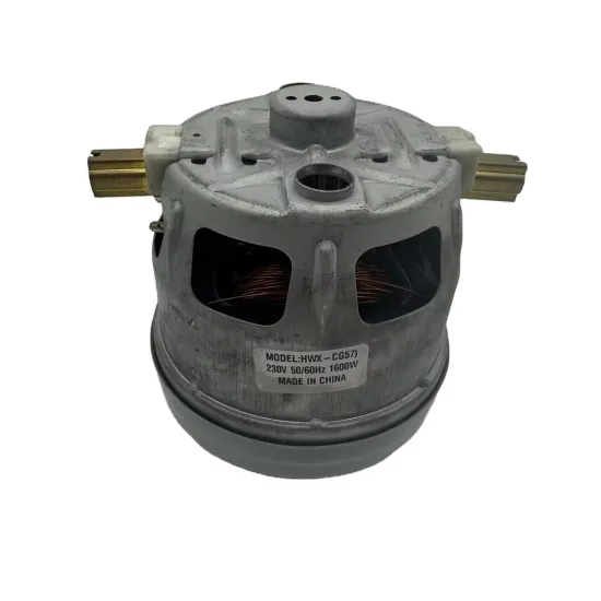 Controlled Speed 1600W Electric Motor for Samsung Vacuum Cleaner: HXW-CG57 Vacuum Cleaner Motor