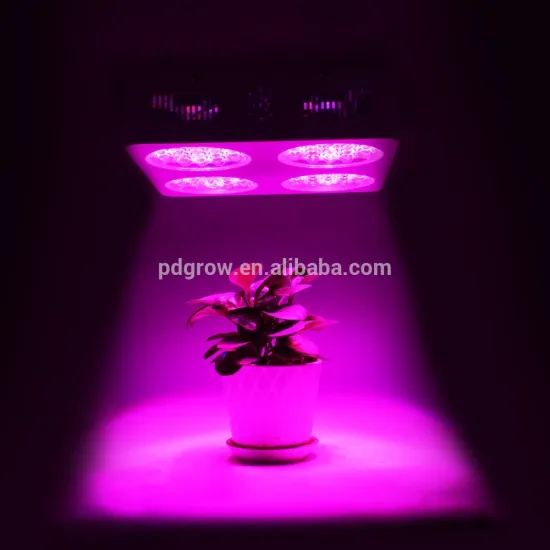 Home planting 252W Indoor cultivation led grow light
