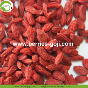 Perder peso seco natural saudável Tibete Goji