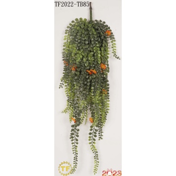 29" Pea leaf hanging bush