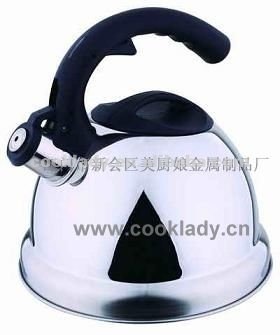 metal water kettle CL4580