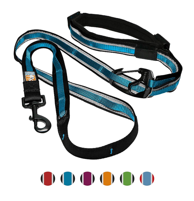 6 in 1 Hands Free Dog Leash