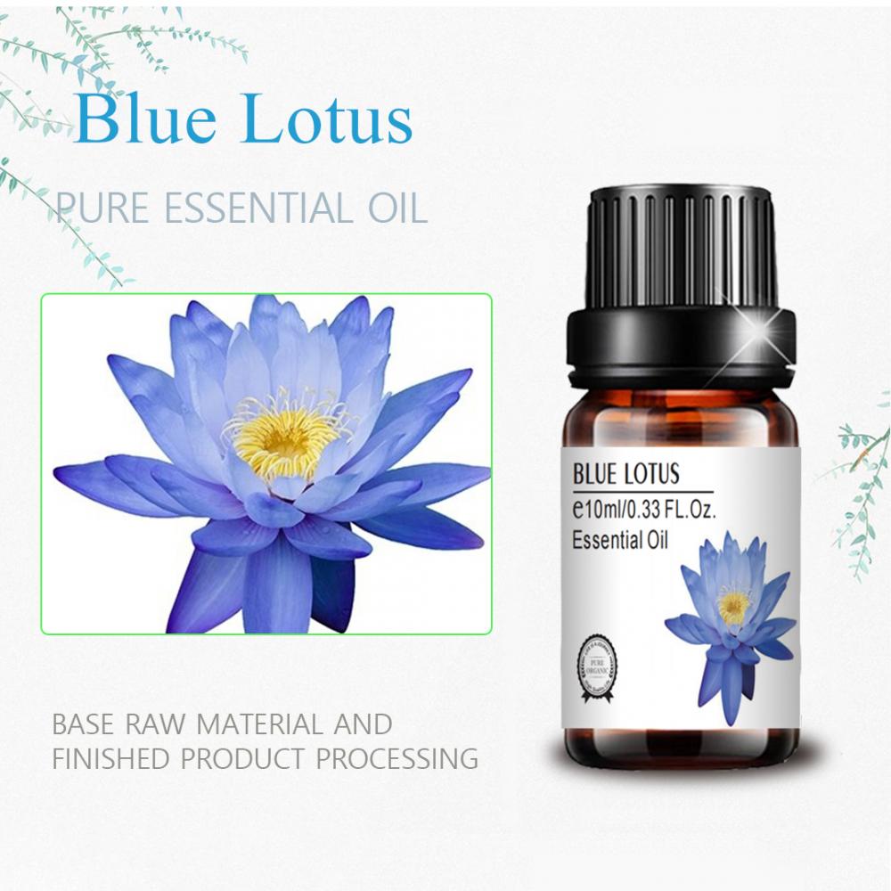 Masaje de aceite de loto azul de alta calidad cosmética para aroma