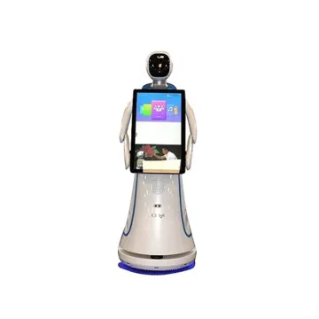 Interactive Robot For Commercial Advertising Service