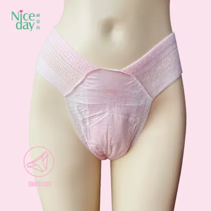 Disposable Bikini teens Period Panties