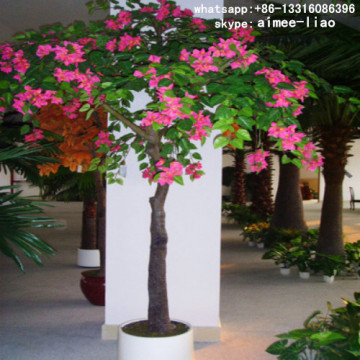 Q082233 types of ornamental plants artificial bougainvillea bonsai tree indoor plants